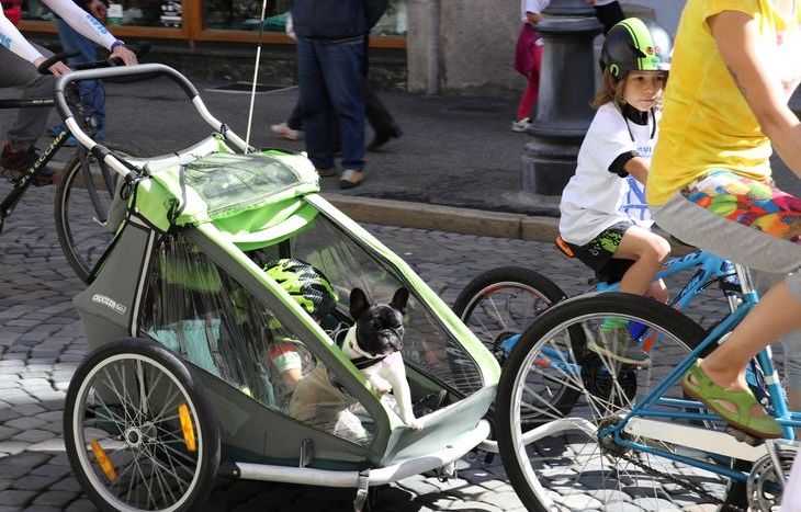 Bicincittà 2017