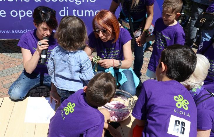 I Venti di Viola