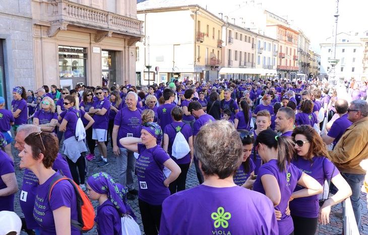 I Venti di Viola