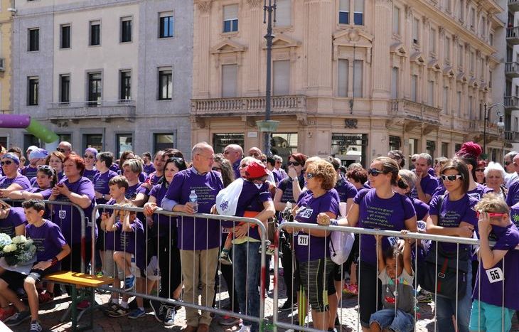 I Venti di Viola